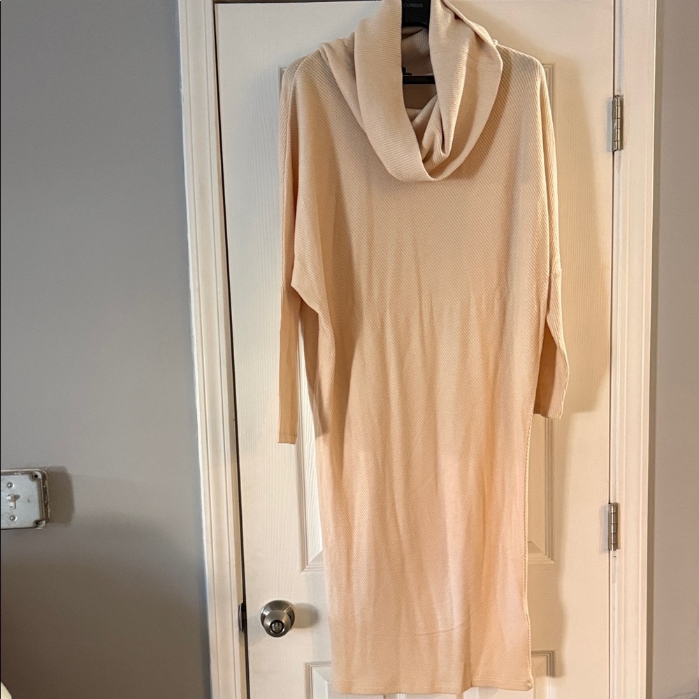 Express Beige Cowl Neck Sweater Dress